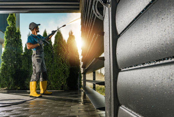 Best Gutter Cleaning  in La Luz, NM